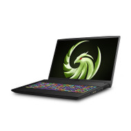 MSI Bravo 17 A4DDR-009 17.3" 120Hz Gaming Laptop AMD Ryzen R7-4800H RX5500M 16GB 512GB NVMe SSD +1TB Win10